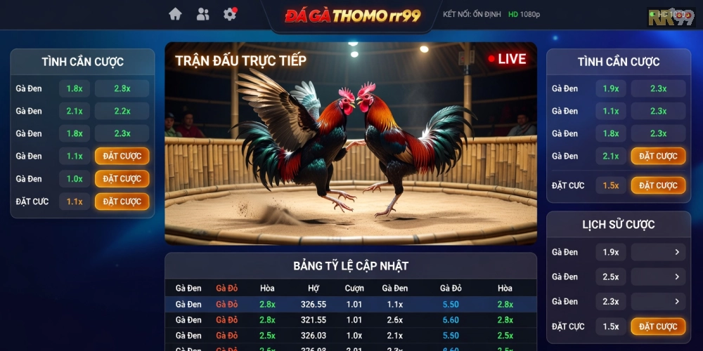 Giao diện trang đá gà Thomo trên rr99 với các trận đấu hấp dẫn